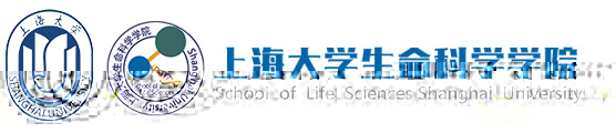 yl23455永利